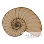 Caracol de mar