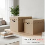 Kit de dos cajas rectangulares grandes
